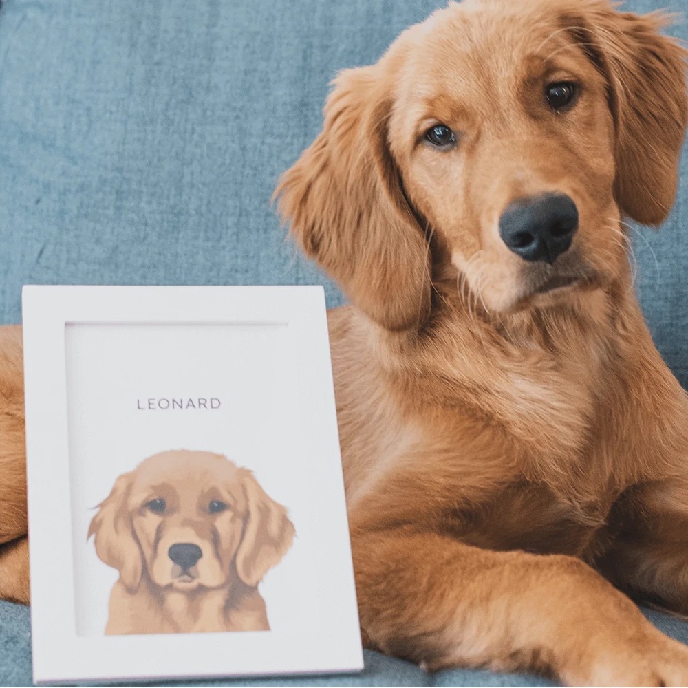Custom Pet Portraits 🐶🎁